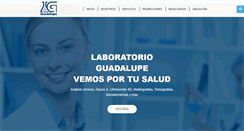 Desktop Screenshot of lacyrguadalupe.com